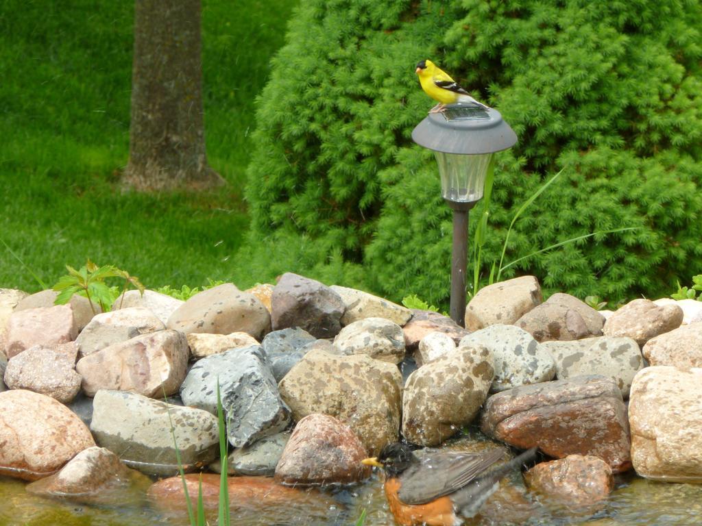 Villa Trickling Waters Retreat à Marquette Extérieur photo