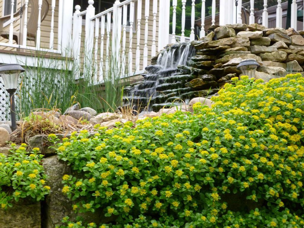 Villa Trickling Waters Retreat à Marquette Extérieur photo