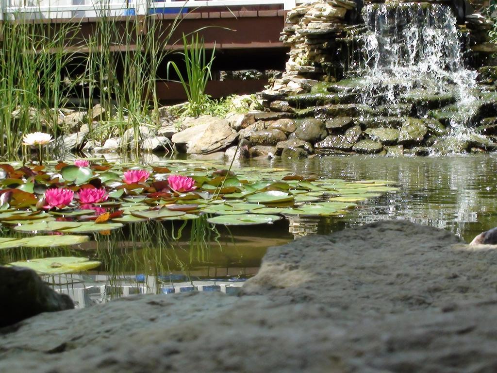 Villa Trickling Waters Retreat à Marquette Extérieur photo