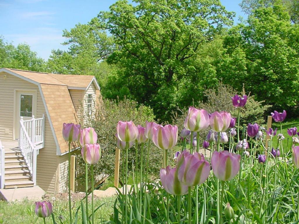 Villa Trickling Waters Retreat à Marquette Extérieur photo